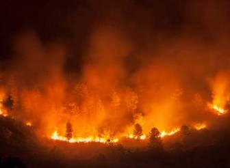 ПОЖАРНА БЕЗОПАСНОСТ ПРЕЗ ЛЕТНИЯ СЕЗОН